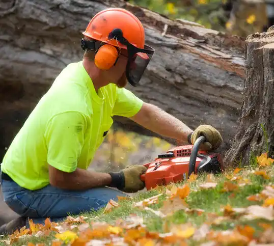 tree services North Windham